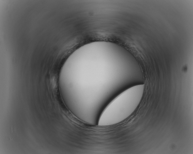 X0000091580131200708201022