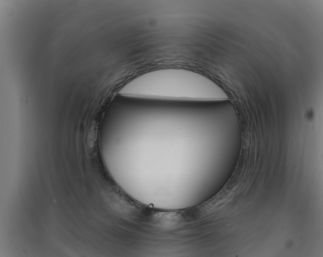 X0000091580133200708201022