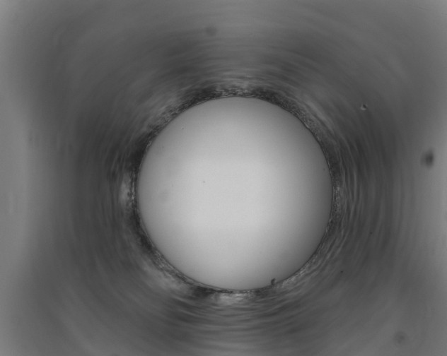 X0000091580134200708201022