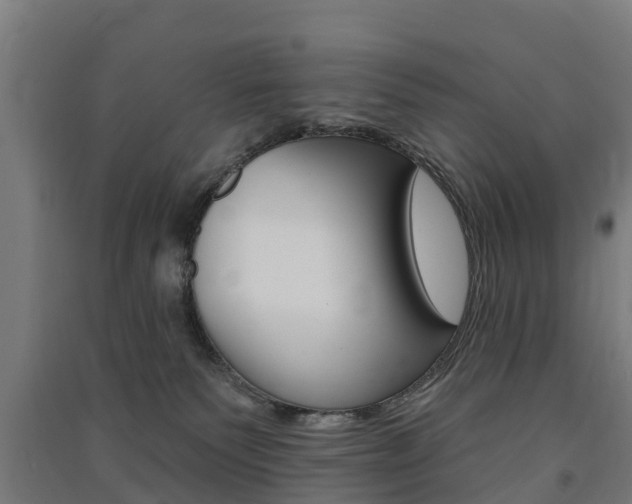 X0000091580135200708201022