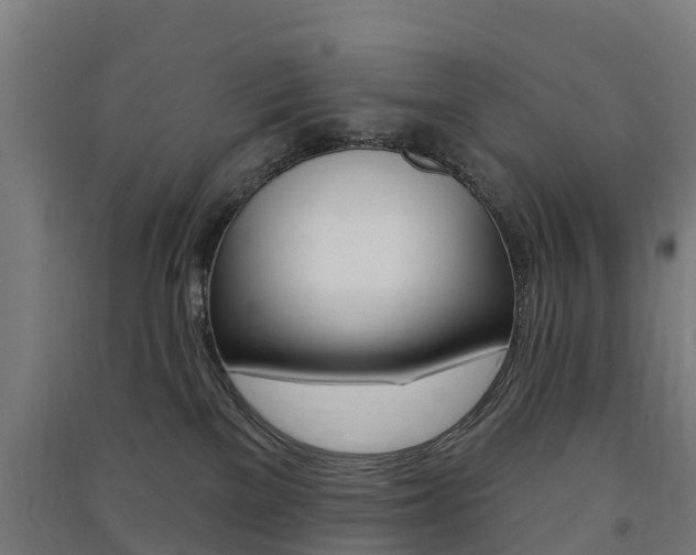 X0000091580137200708201022