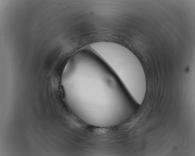 X0000091580139200708201022