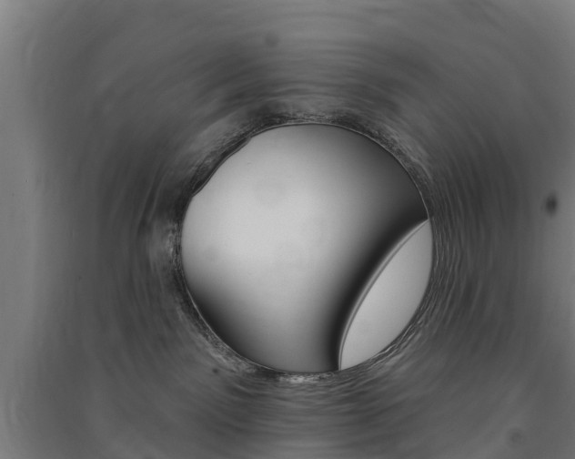 X0000091580141200708201022