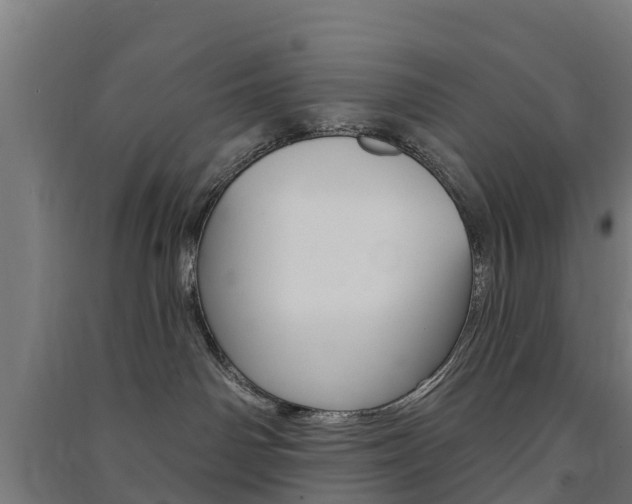 X0000091580142200708201022