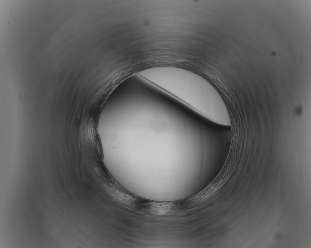 X0000091580143200708201022