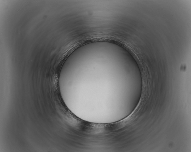 X0000091580144200708201022
