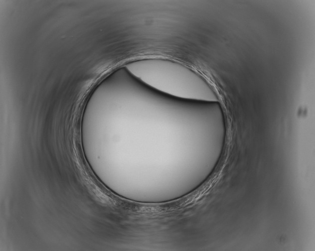 X0000091580145200708201021
