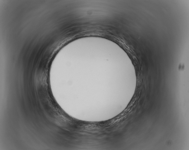 X0000091580146200708201021