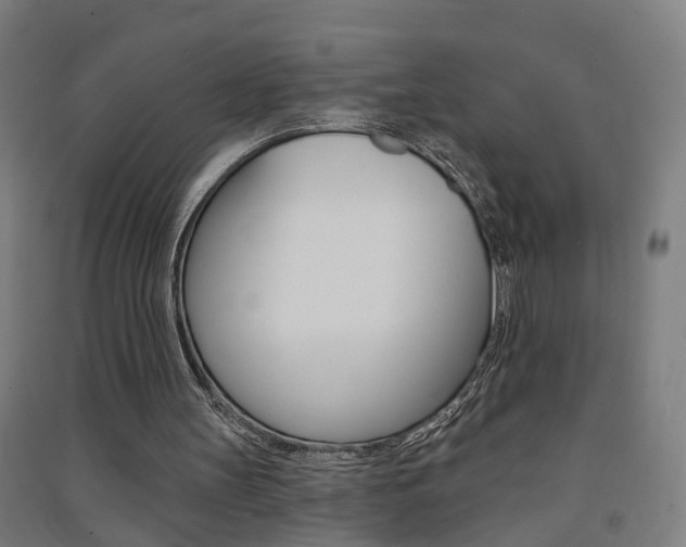 X0000091580147200708201021