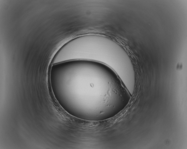 X0000091580148200708201021
