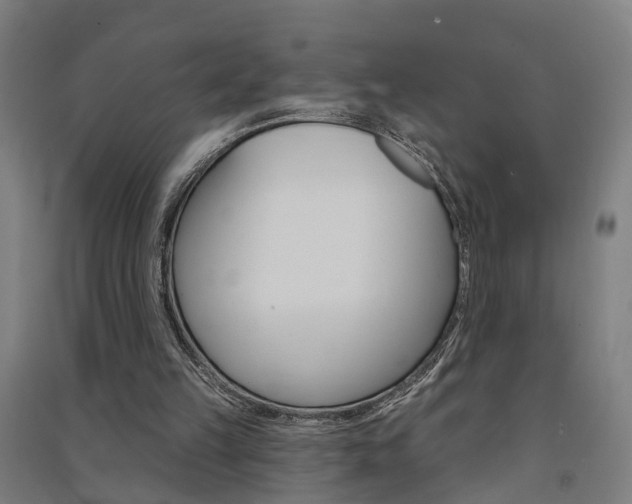 X0000091580149200708201021