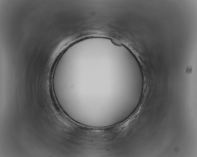 X0000091580151200708201021
