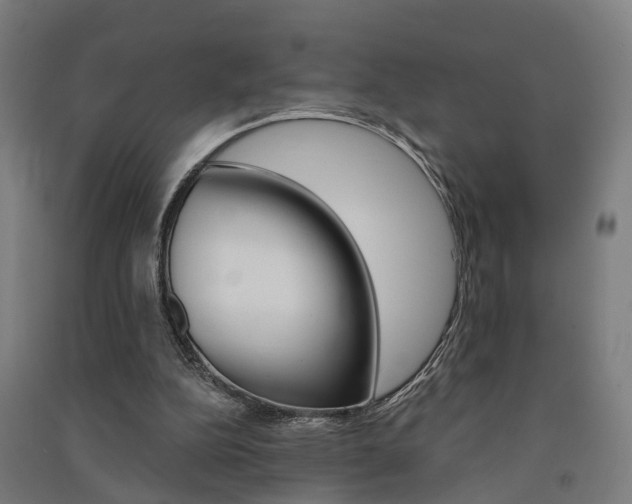 X0000091580152200708201021