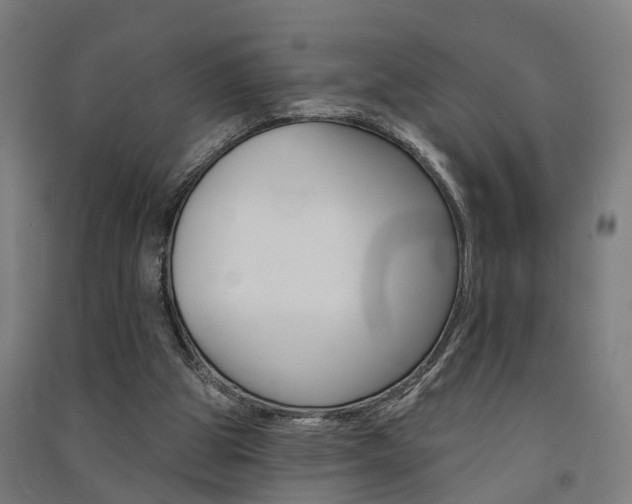 X0000091580153200708201021