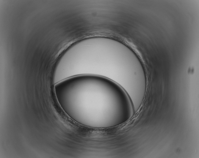 X0000091580154200708201021