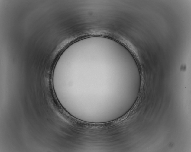 X0000091580155200708201021