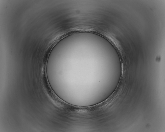 X0000091580157200708201021