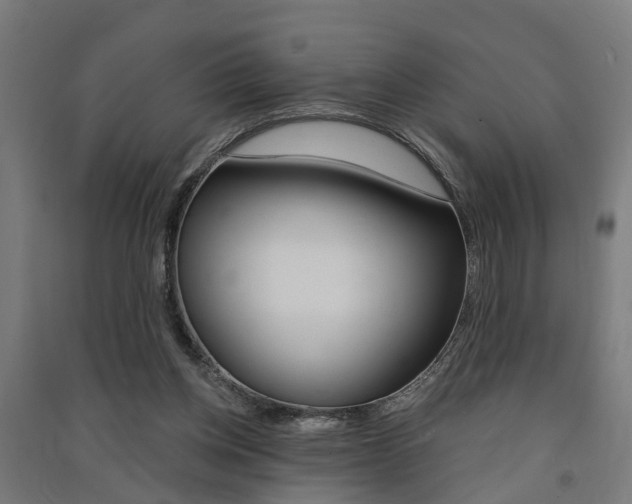 X0000091580158200708201021