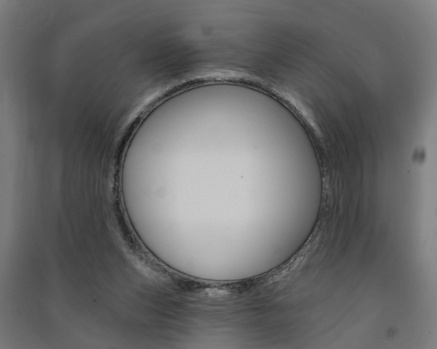 X0000091580159200708201021