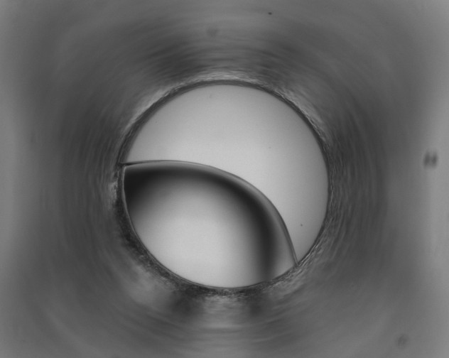 X0000091580160200708201021