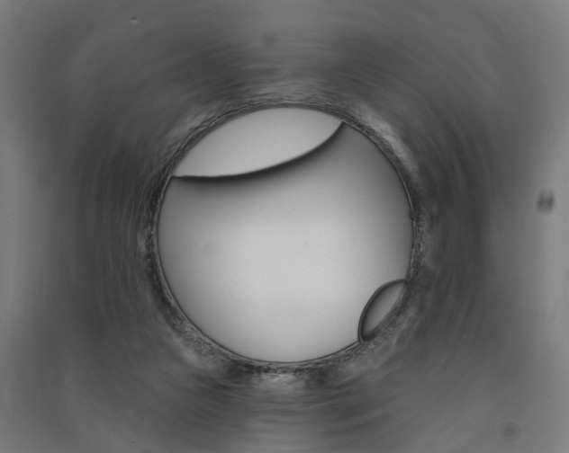 X0000091580161200708201022