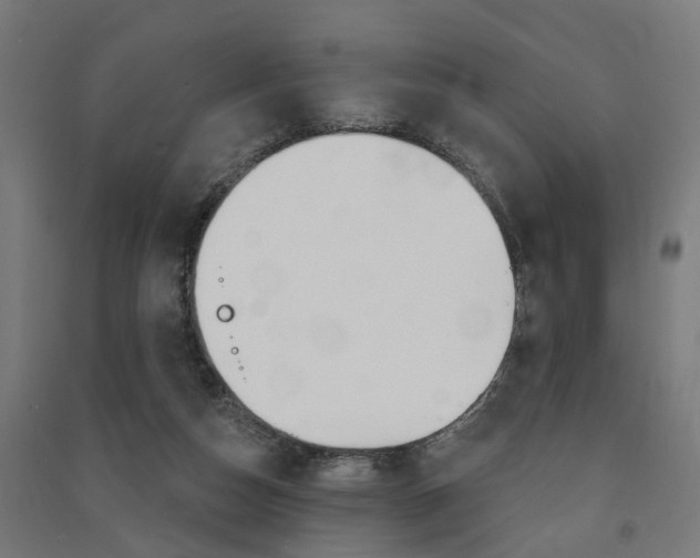X0000091580162200708201022