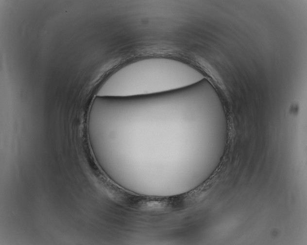 X0000091580163200708201022