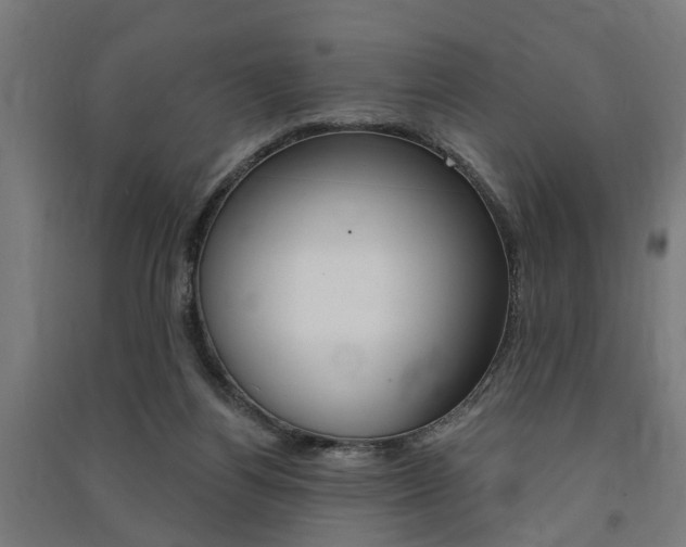 X0000091580164200708201022