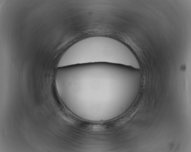 X0000091580165200708201022