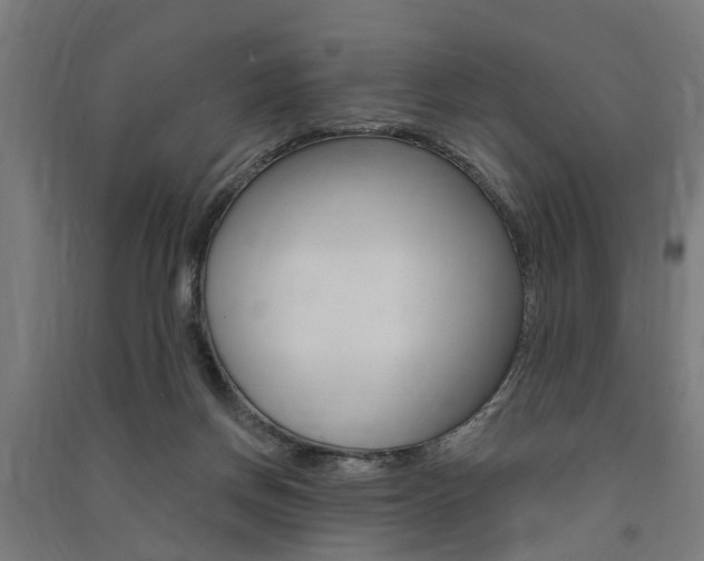 X0000091580166200708201022