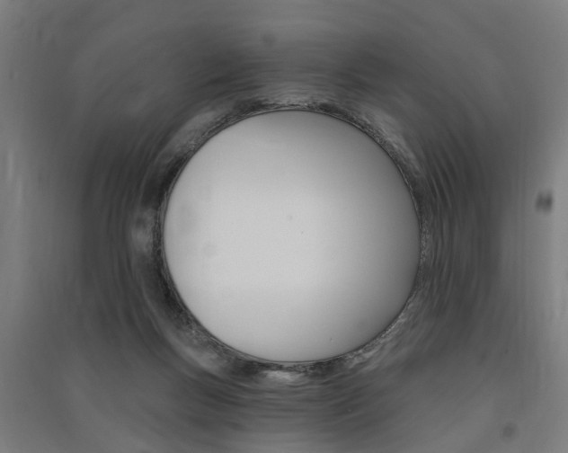 X0000091580167200708201022