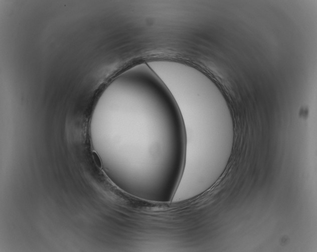 X0000091580168200708201022