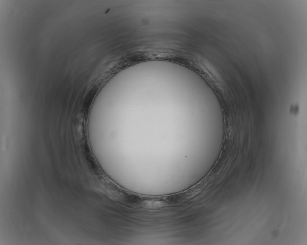 X0000091580169200708201022