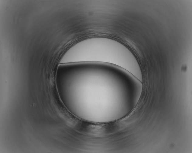 X0000091580170200708201022