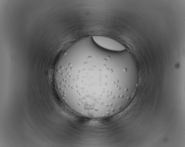 X0000091580171200708201022