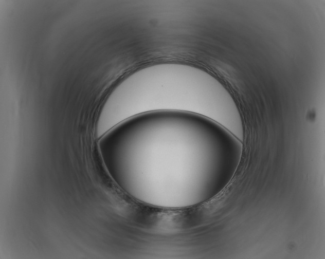X0000091580172200708201022