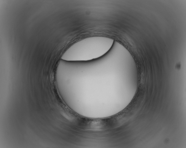 X0000091580173200708201022
