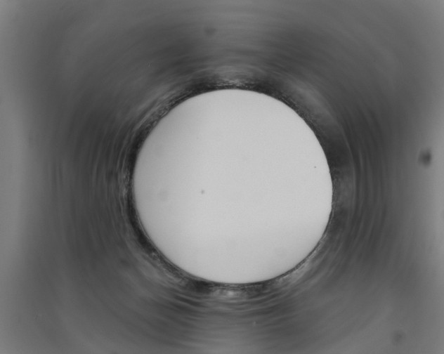X0000091580174200708201022