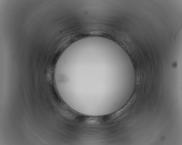 X0000091580175200708201022