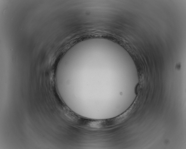 X0000091580178200708201022