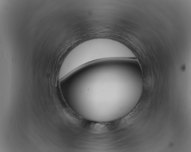 X0000091580180200708201022