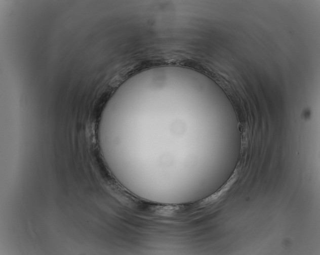 X0000091580182200708201022