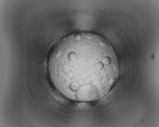 X0000091580183200708201022