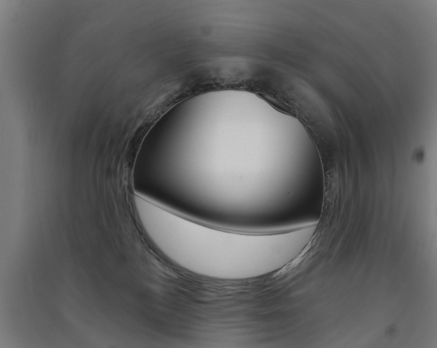 X0000091580184200708201022