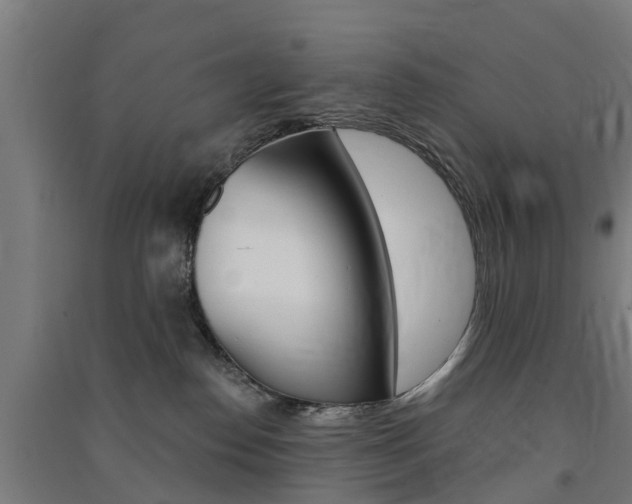 X0000091580186200708201022