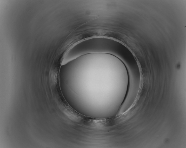 X0000091580188200708201022