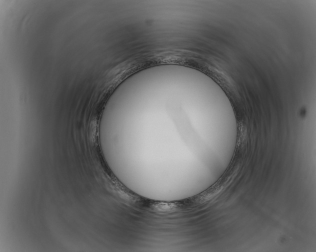 X0000091580189200708201022