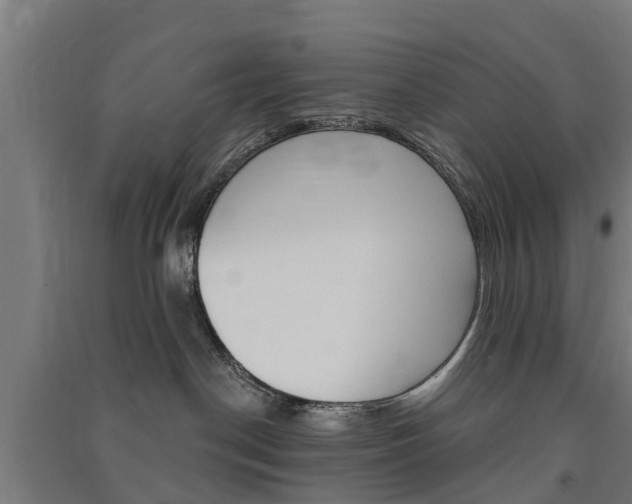 X0000091580190200708201022