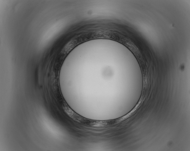 X0000091580191200708201022