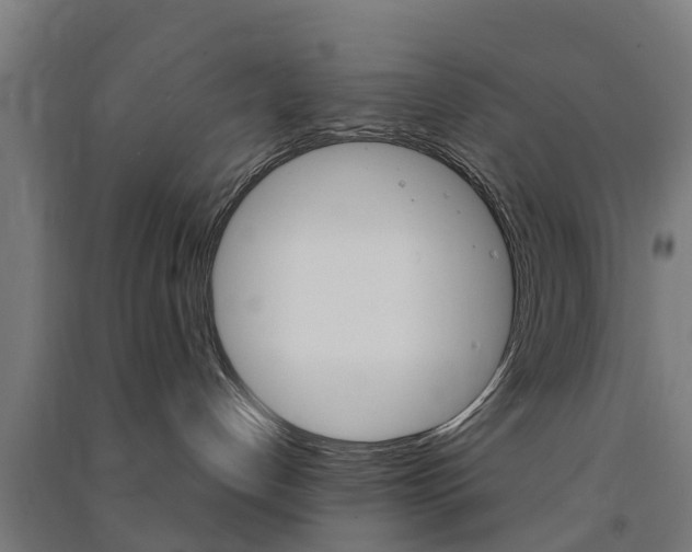 X0000091580192200708201022